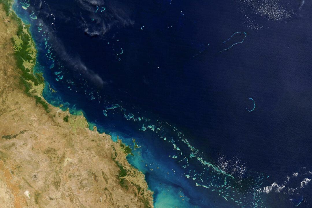 US to Fish Bombs Out of Great Barrier Reef