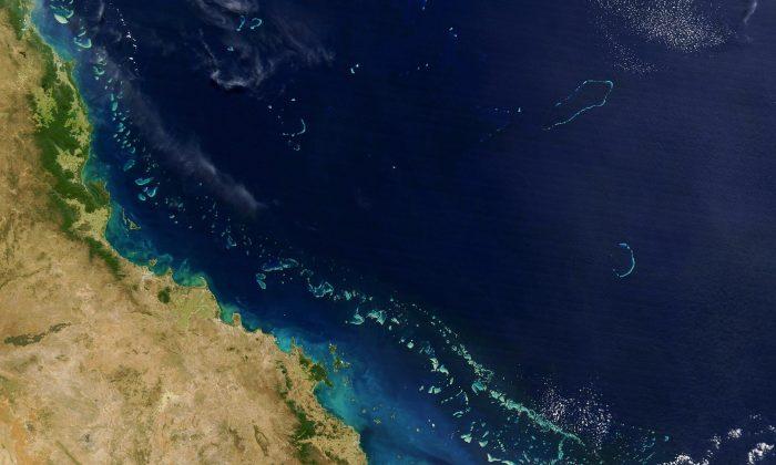 US to Fish Bombs Out of Great Barrier Reef