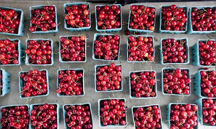 Cherries: The Ruby Fruit With Illustrious Beginnings