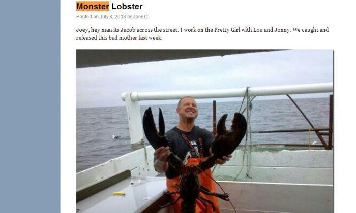 Massive, 20-Pound Lobster Caught Off Massachusetts Coast in Gloucester (+Photo)