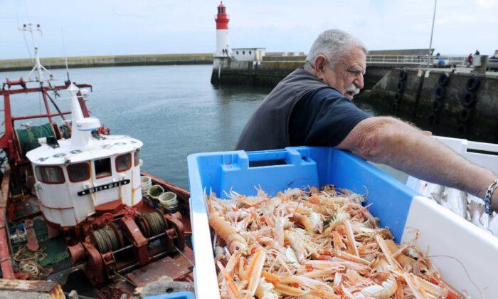 Scampi Farming and the Environment