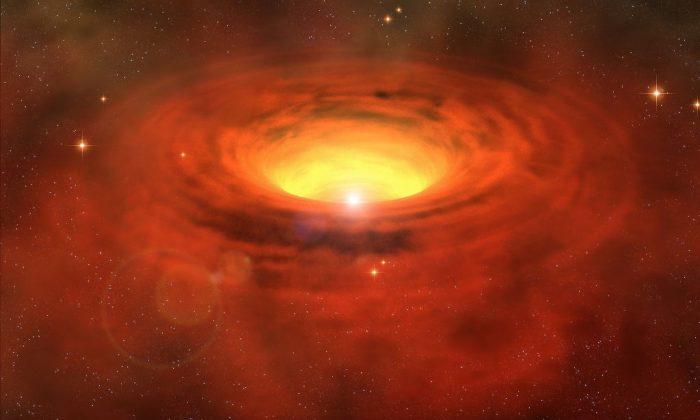 3 Largest Stars in the Known Universe (+Video)