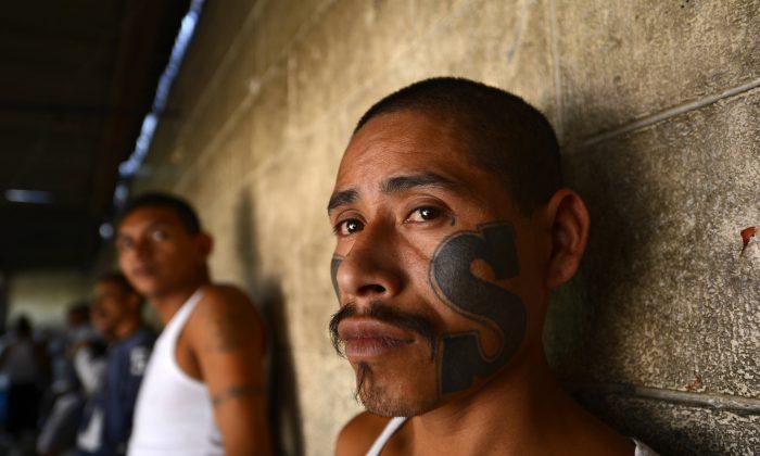 MS-13 Wants to Send ‘Younger, More Violent’ Members to America, Official Says