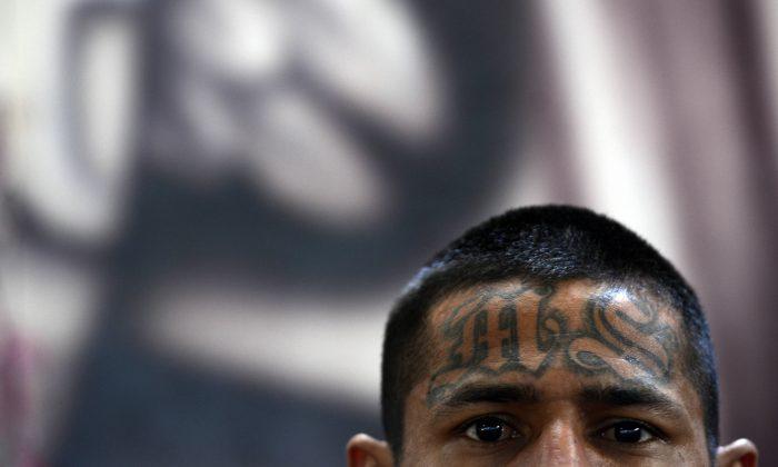 263 Arrested: Gang Sweep Targets Notorious MS-13