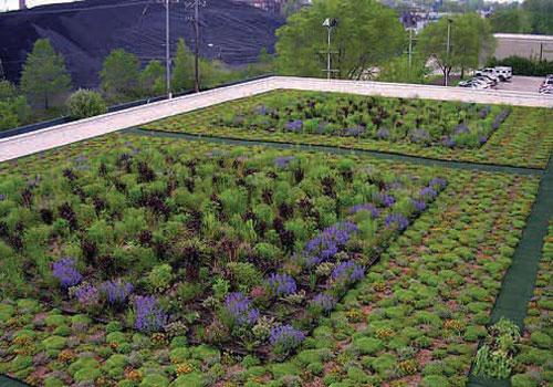 5 Awesome Green Roof Projects 