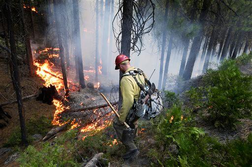 Marijuana Farm May Have Caused Yosemite Rim Fire: Official