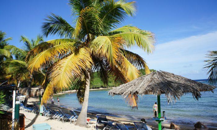 U.S. Virgin Islands: A Caribbean Escape of Corals, Cliffs, and Charismatic Islanders