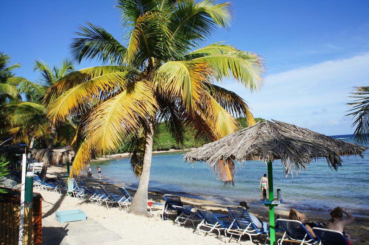 U.S. Virgin Islands: A Caribbean Escape of Corals, Cliffs, and Charismatic Islanders