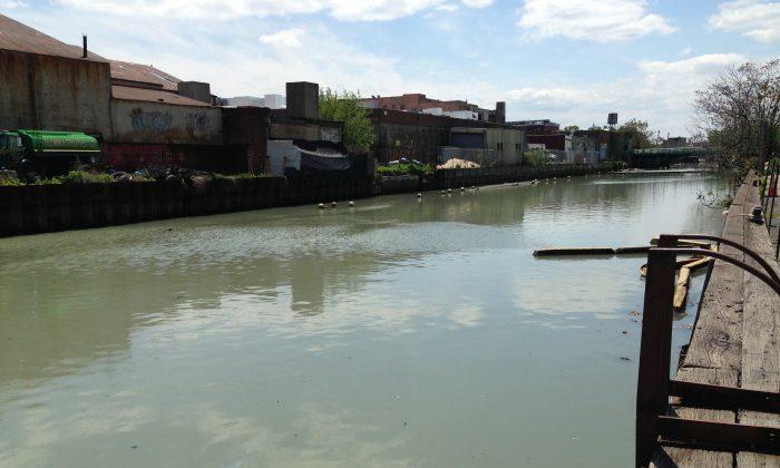 Prototype Sponge Park Planned for NYC’s Gowanus Canal 