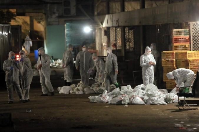 Human to Human Transmission of H7N9 Bird Flu Possible But Unlikely, Says Research
