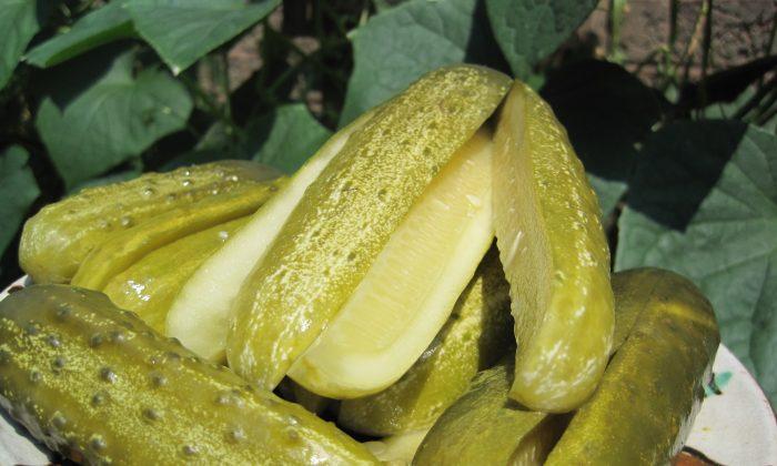 Summer Pickled Cucumbers: A Romanian Traditional Recipe