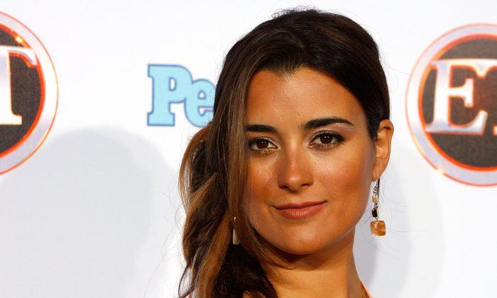 Ziva’s Successor: How Do TV Shows Create New Characters?