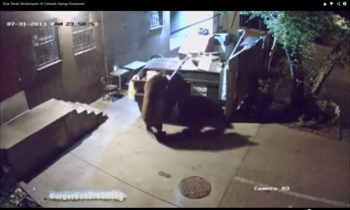 Bear Steals Dumpster From Colorado German Restaurant (+Video)