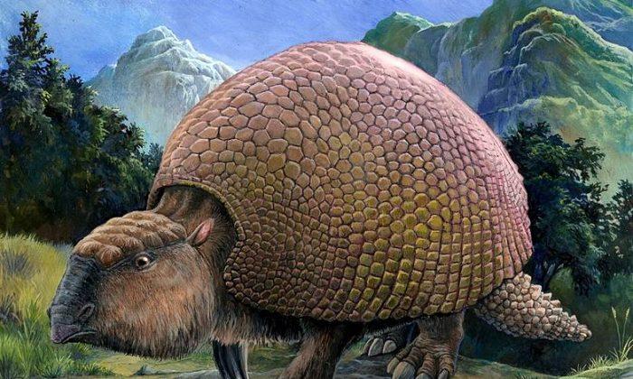 10 Amazing Creatures That Once Roamed America