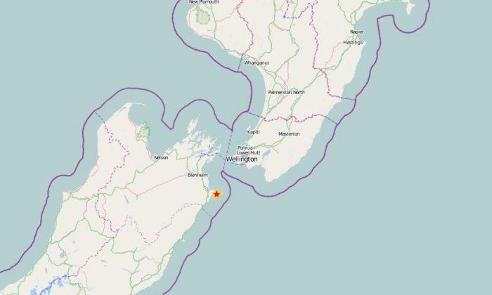 5.3 Magnitude Earthquake Hits New Zealand’s Cook Strait