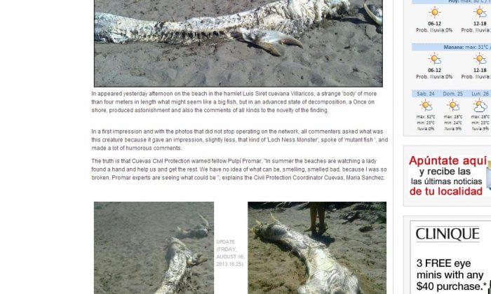 Oarfish, Shark, or Sea Monster? Large Decomposed Carcass Washes up in Spain
