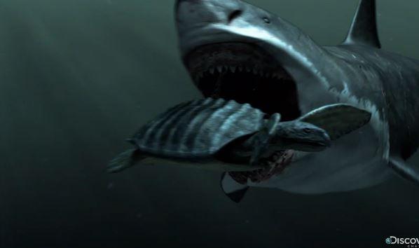 Shark Week’s ‘Megalodon’ Monster Shark Special Fake? (+Videos)