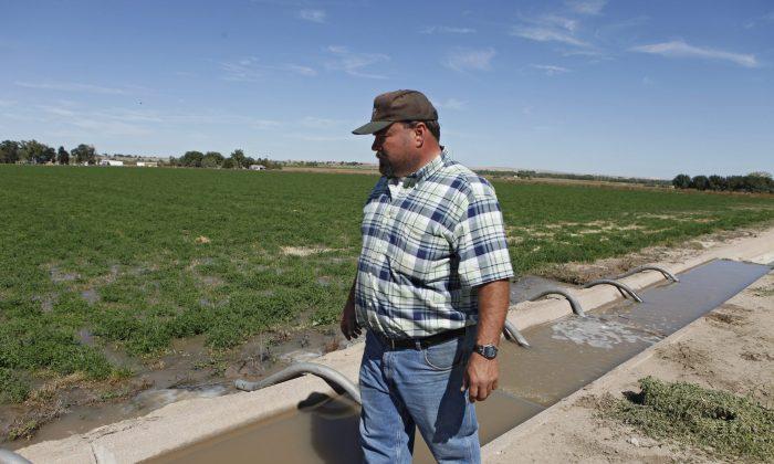 GM Alfalfa: Coexistence Won’t Work, says Farmers Union