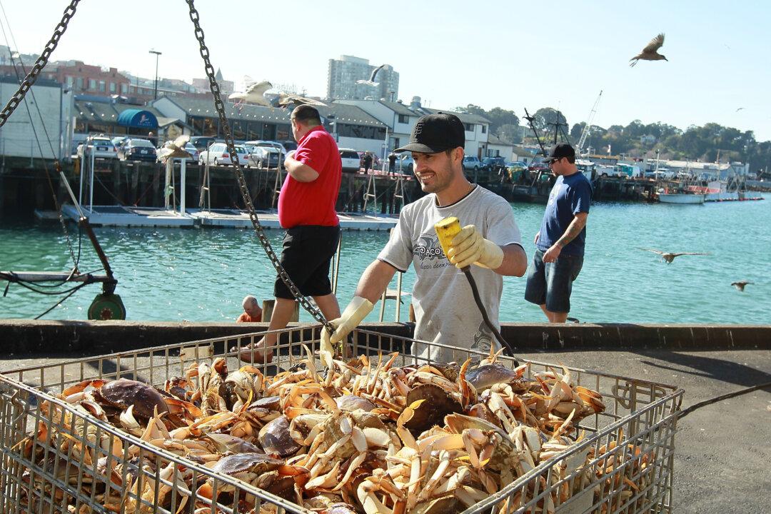 California Dungeness Crab Fishery Opens Jan. 5