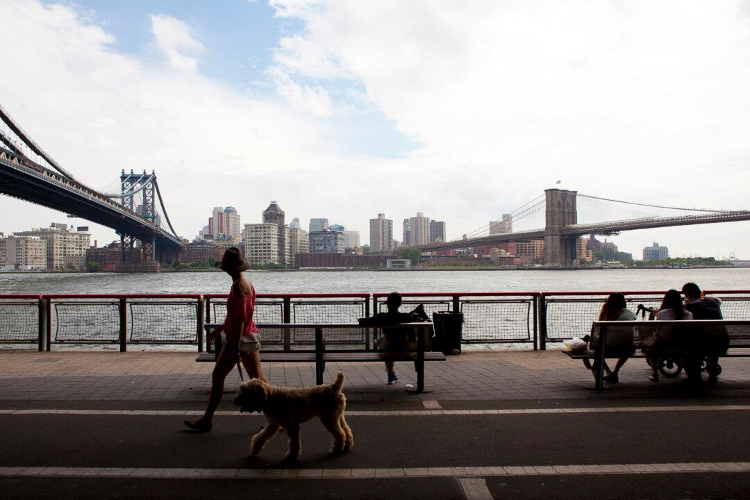 On the Water: The Question of a Water Czar