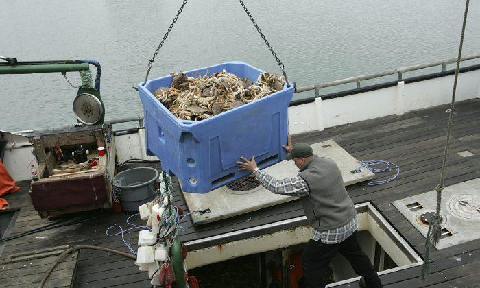 Dungeness Crab Health Warning Lifted for California Coast