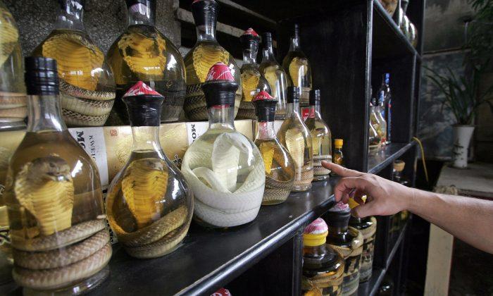 Snake Wine: Chinese Woman Bitten by Snake Preserved in Alcohol for Months