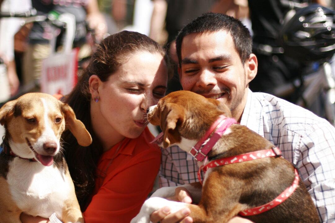 Finding Furry Friends at Adoptapalooza