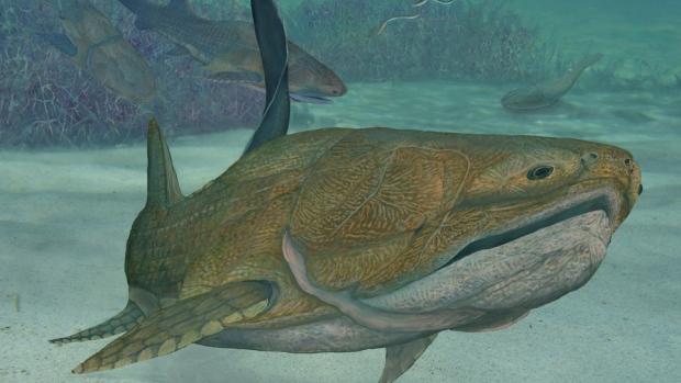 China: Fish Fossil Discovery Could Dramatically Shift Evolutionary History
