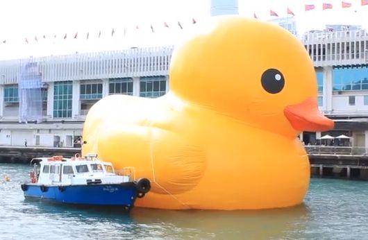 Giant Rubber Duck Floats Into Taiwan Harbor