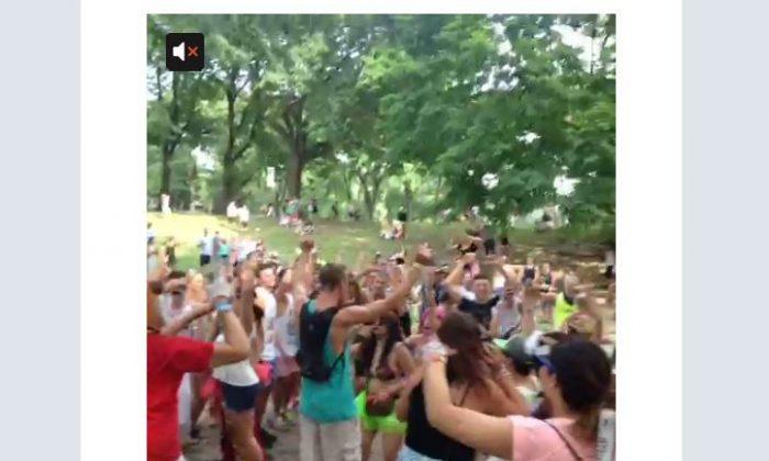 Central Park EZoo: After Electric Zoo’s Third Day is Canceled, People Go to Central Park