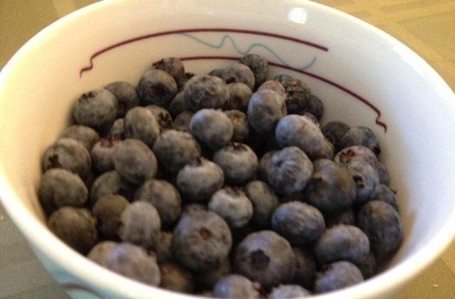 There is no “Singing the Blues” with Blueberries