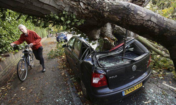 Bethany Freeman, Donal Drohan ID'ed as Victims of Falling Trees in UK Storm
