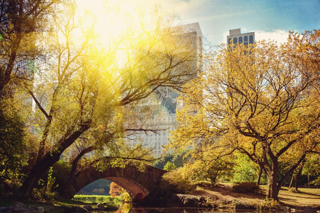 5 Natural Pain Relievers