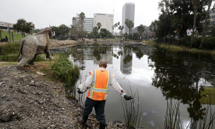 Los Angeles Tops List of U.S. Cities With the Most Mosquitoes