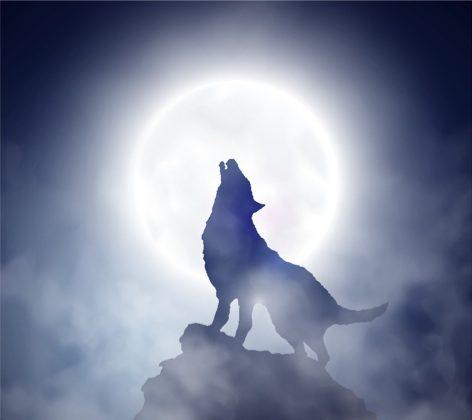 History’s Creatures: Lore of the Werewolves
