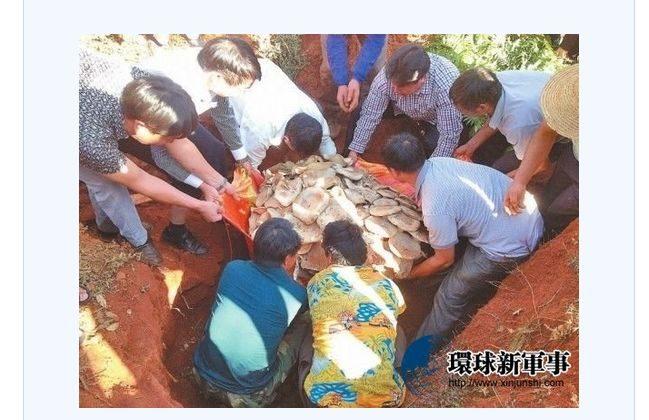 World’s Largest Edible Mushroom Found in China
