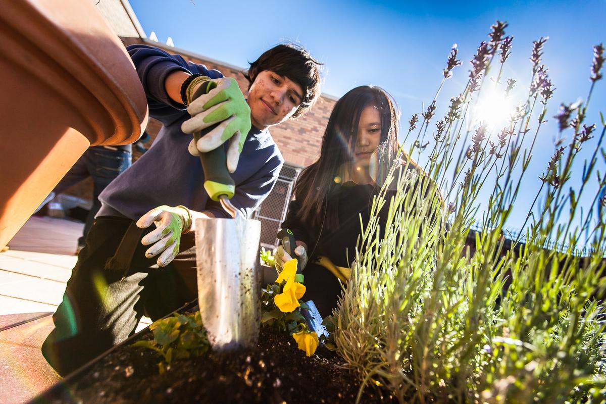 NY Students Ready to Learn on Rooftop Garden Classroom