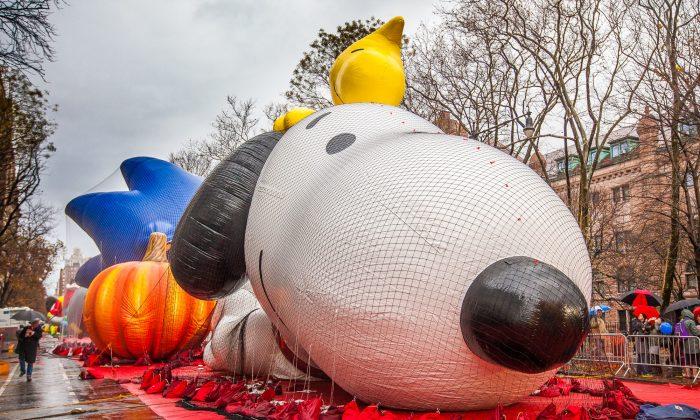 A Thanksgiving Face-Off: Macy’s Parade Balloons Against Wind Gusts