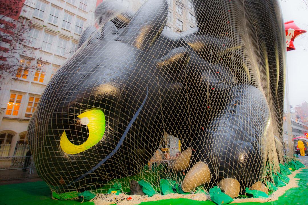 Before Thanksgiving Showtime, a Yearlong Journey for Parade Balloons