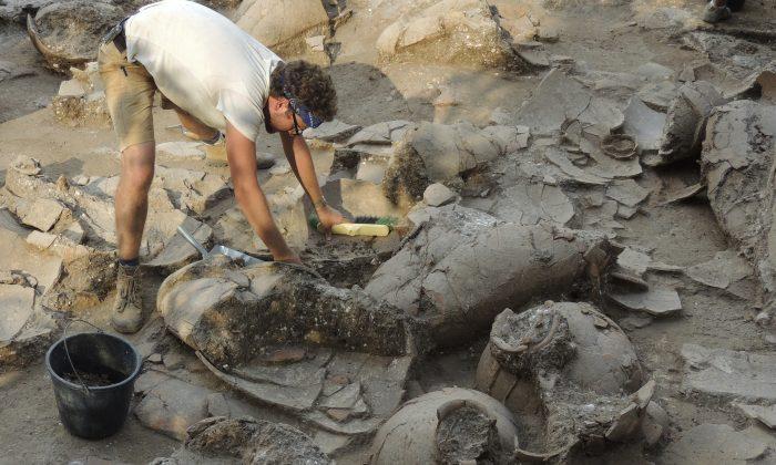 3,700-Year-Old Wine Cellar Discovered in Israel