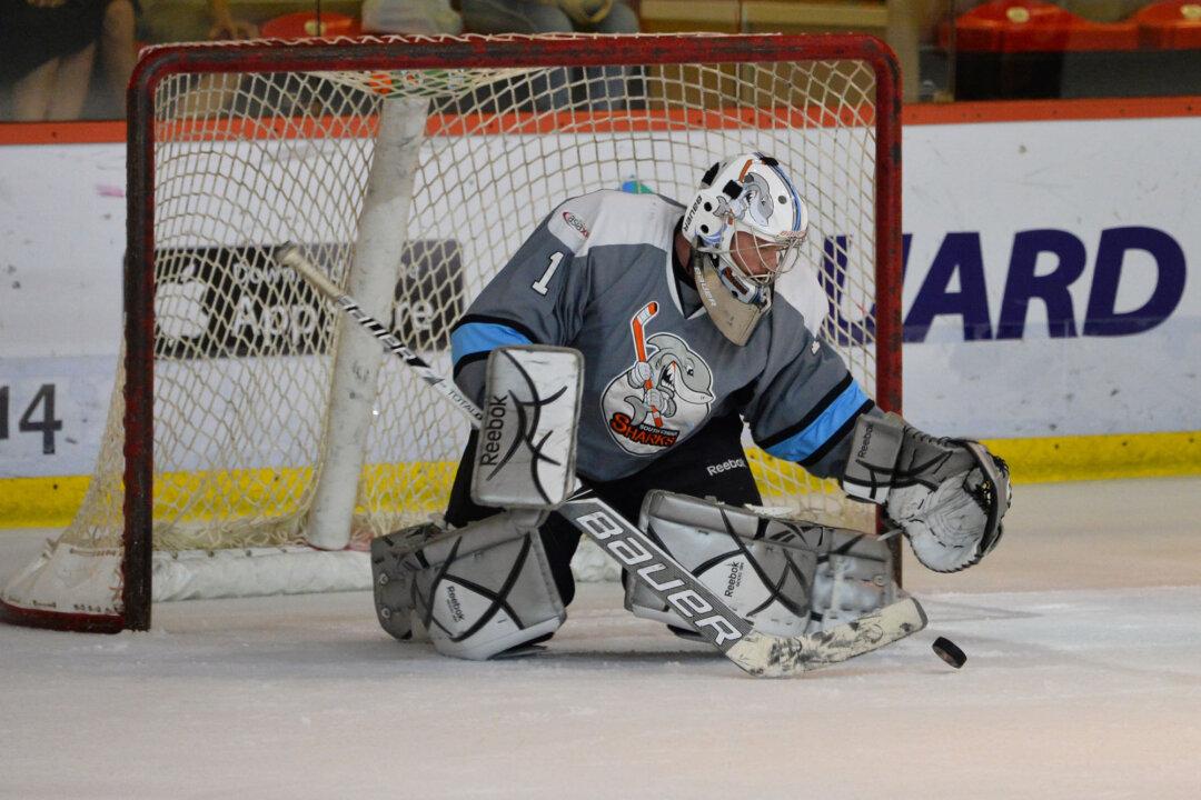 Warriors Savaged by Sharks in Hong Kong’s Ice Hockey League