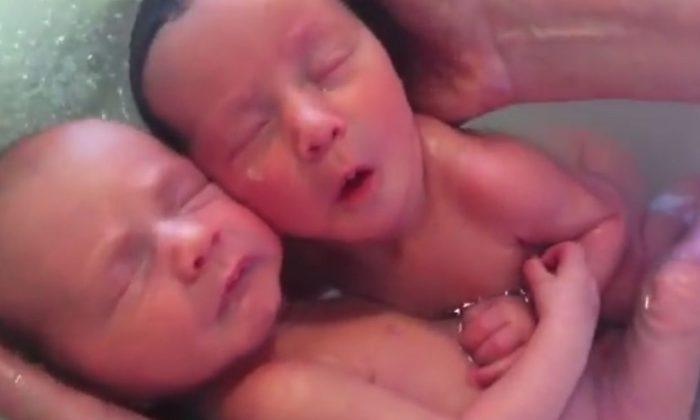 Newborn Twins: Video of Hugging Babies Goes Viral