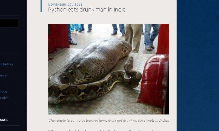 ‘Python Eats Drunk Man in India’ is a Hoax but Goes Viral Anyway