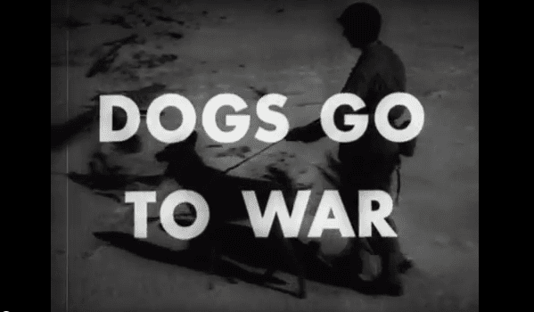 Declassified 1943 Film ‘The Use of War Dogs’ by US Military (Video)