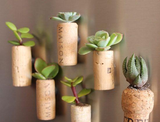 Cool DIY Gift Idea for Plant, Wine Lovers: Plants Grow in Fridge Magnets, Recycled Corks