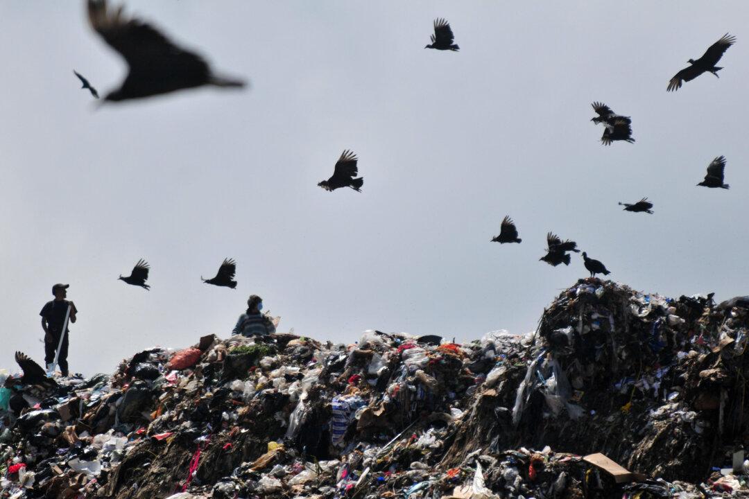 Our World in 7 Headlines: Nov. 10