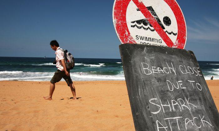 Australian Sharks to Be Killed en Masse by Government