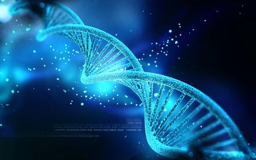 DNA Nanotechnology the Future of Modern Medicine?