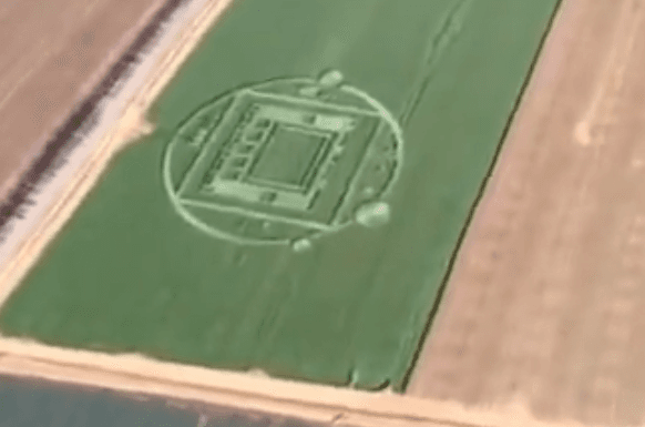 Salinas, CA: Crop Circle Appears in Field, Startling Locals (+Videos)