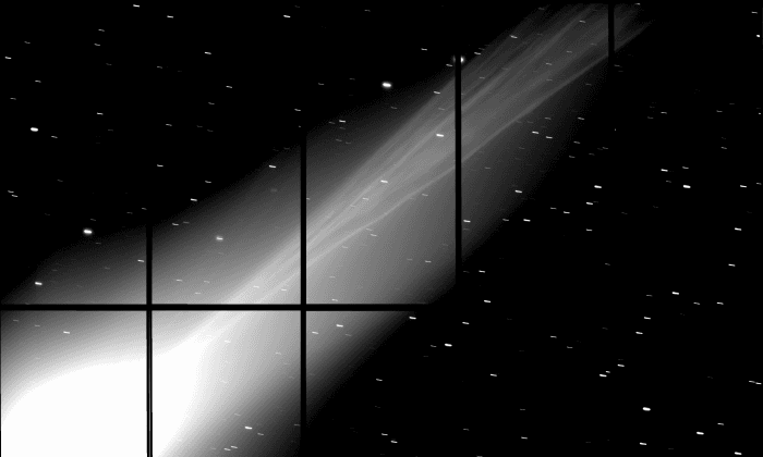 Comet ISON Has Disappeared, but Comet Lovejoy Has Not (+Photo)